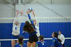 VB vs Salve  Wheaton Women’s Volleyball vs Salve Regina University. : volleyball